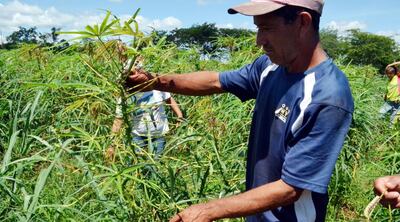 /pf/resources/images/abc-placeholder.png?d=2395