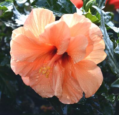 Imagen sin descripción