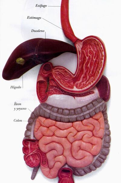 Imagen sin descripción