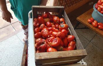 cajas-de-tomates-en-estado-de-descomposicion-en-la-cocina-del-hospital-regional-en-salto-del-guaira--211138000000-1476269.jpg