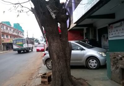 /pf/resources/images/abc-placeholder.png?d=2394