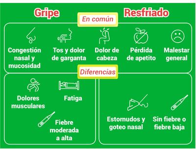 Resfriado común y gripe o influenza