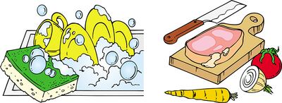 ¿Dónde están los microorganismos?