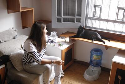 Imagen sin descripción