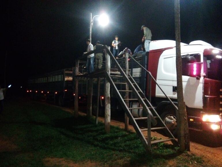 Juez  benefició con la medida de prisión domiciliaria a un ganadero que estaba en rebeldía y que se encuentra imputado por los hechos punibles abigeato