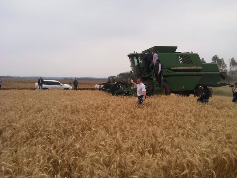 El ministro Rodolfo Friedmann durante una demostración de cosecha de trigo en el barrio San Miguel del distrito de Obligado.