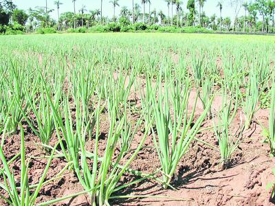 /pf/resources/images/abc-placeholder.png?d=2425