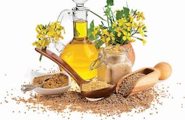 sabores-201313000000-1066268.jpg