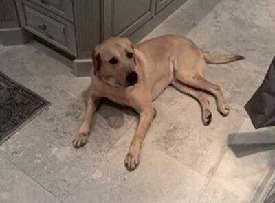 /pf/resources/images/abc-placeholder.png?d=2428