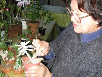 La jardinería amigable cuida  el medio, es  terapéutica y puede  ser rentable.