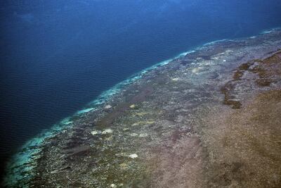 /pf/resources/images/abc-placeholder.png?d=2393