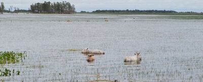 /pf/resources/images/abc-placeholder.png?d=2429