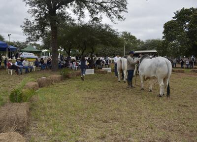 /pf/resources/images/abc-placeholder.png?d=2425