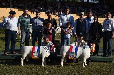 Imagen sin descripción