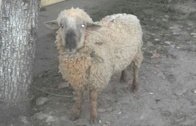 /pf/resources/images/abc-placeholder.png?d=2397