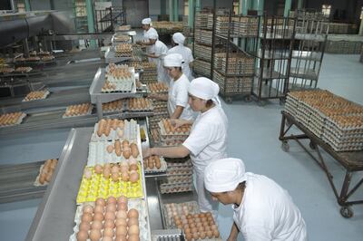 Día Mundial del Huevo