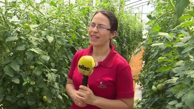 /pf/resources/images/abc-placeholder.png?d=2420