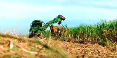 Bloque que muestra cómo se realiza la cosecha  mecanizada  de caña de azúcar.