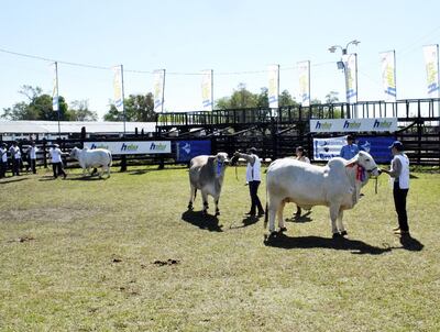 /pf/resources/images/abc-placeholder.png?d=2400