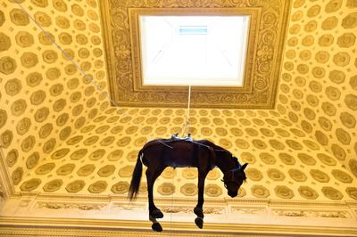 /pf/resources/images/abc-placeholder.png?d=2395