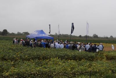 Una de las jornadas sobre investigaciones de soja en el Chaco. Entre los eventos liberados está la soja resistente a la sequía.