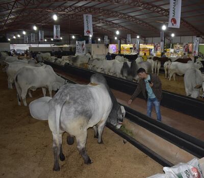 /pf/resources/images/abc-placeholder.png?d=2425