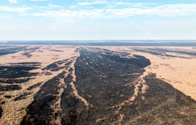 Vista del monumento natural Cerro Chovoreca, de 101.000 hectáreas, cuyos trabajos de amojonamiento comenzarán en breve para transferir dichas tierras al Mades.