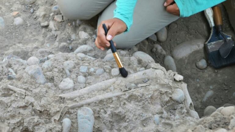 /pf/resources/images/abc-placeholder.png?d=2421