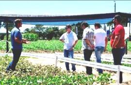 nuevas-ideas-tecnicas-y-tecnologia-en-agro-show-copronar-en-naranjal-83910000000-1682212.jpg