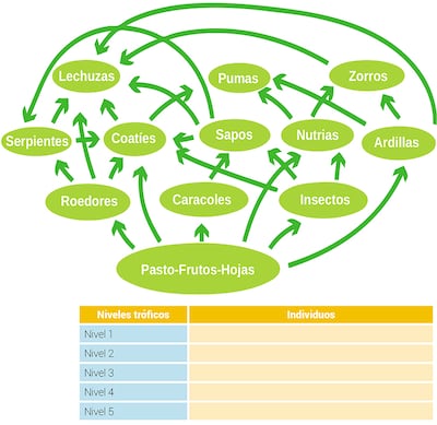 Funcionamiento de un ecosistema (2)