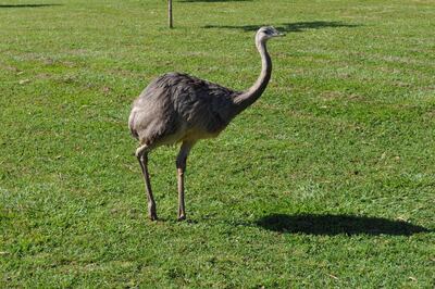 /pf/resources/images/abc-placeholder.png?d=2420