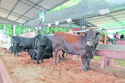 Imagen sin descripción