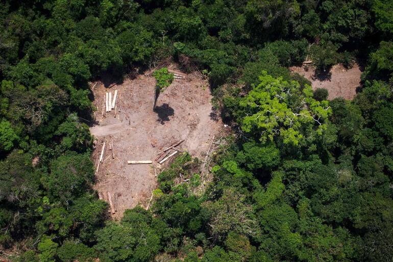 Un área ilegalmente deforestada en la Amazonía.