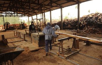 algunos-pocos-trabajadores-que-desarrollaran-sus-actividades-en-el-aserradero-de-los-lindstron-hasta-el-viernes-proximo-el-epp-obligo-a-cerrar-este-c-214048000000-593496.jpg