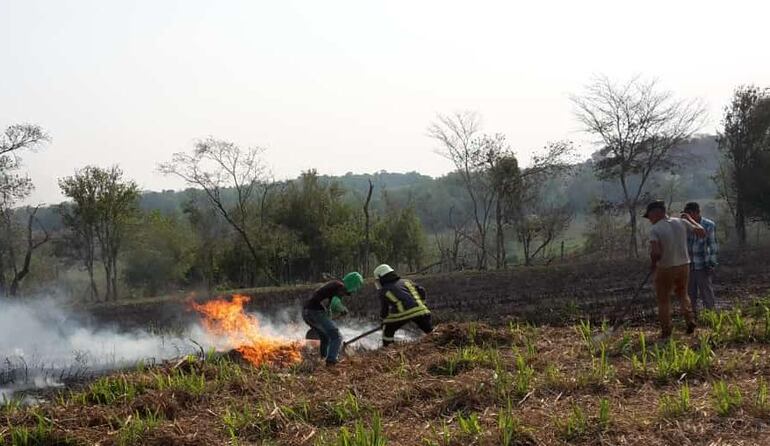 Las llamas arrasan con los cultivos en Independencia.