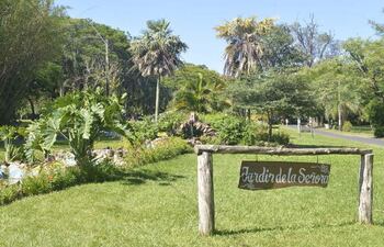 Beneficios como reducción del estrés y de la tristeza se relacionan con estar en lugares verdes.