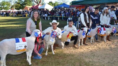 Imagen sin descripción