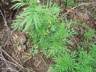 /pf/resources/images/abc-placeholder.png?d=2395