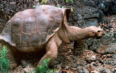 /pf/resources/images/abc-placeholder.png?d=2425