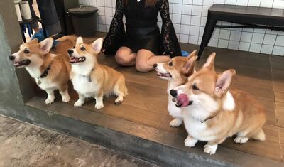 /pf/resources/images/abc-placeholder.png?d=2421