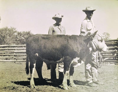 Imagen sin descripción