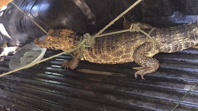 /pf/resources/images/abc-placeholder.png?d=2398