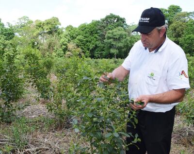 /pf/resources/images/abc-placeholder.png?d=2395