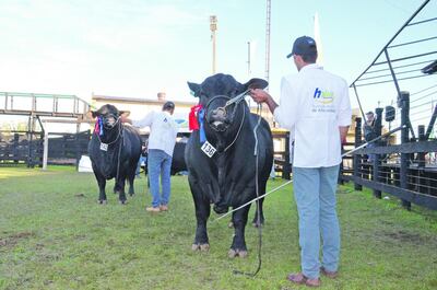 /pf/resources/images/abc-placeholder.png?d=2394