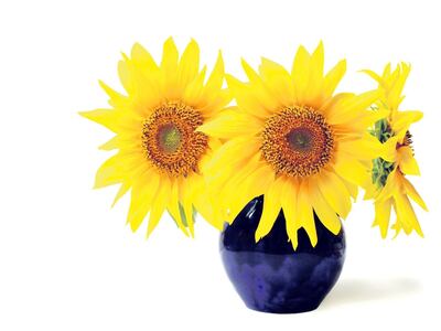 /pf/resources/images/abc-placeholder.png?d=2421