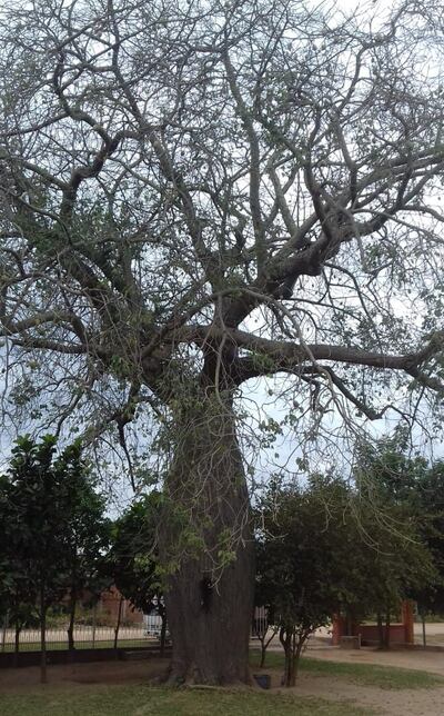 /pf/resources/images/abc-placeholder.png?d=2394