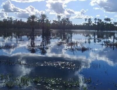 /pf/resources/images/abc-placeholder.png?d=2411