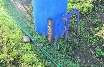 induccion-a-la-resistencia-de-plantas-con-kaa-he-95516000000-1397631.jpg