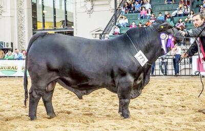 /pf/resources/images/abc-placeholder.png?d=2419