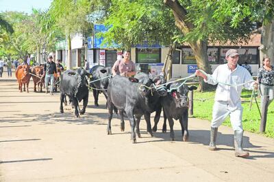 /pf/resources/images/abc-placeholder.png?d=2395